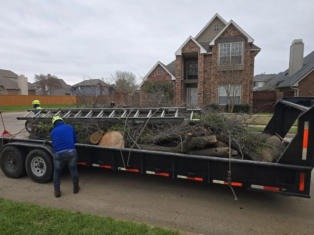 Expert Tree Fertilization with proper safety equipment in Mills